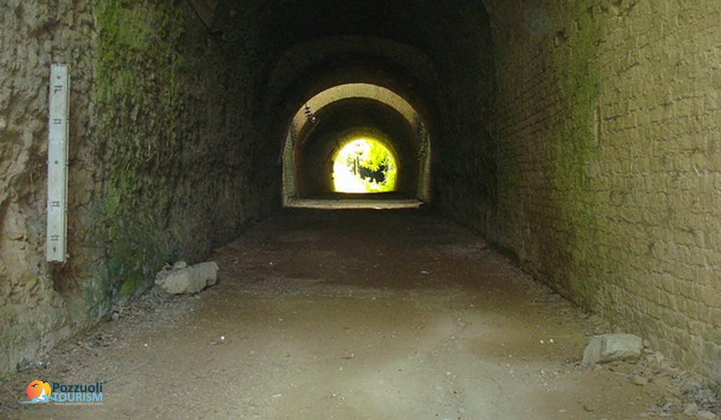 Grotta di Cocceio